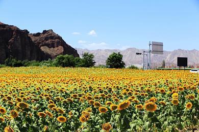 《太空房地产》2023年THQ展示全新预告和截图